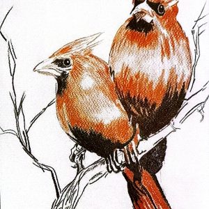 Pinzones (2021)  Sanguina carboncillo cartulina blanca 32x24