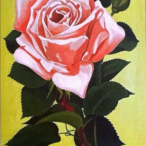 Rosa (1964) Oleo sobre lienzo 27x19