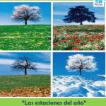 exposicion pintura alumnos del taller de Helena Maclean de pintura Las Matas