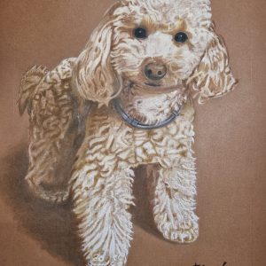 Perrita caniche Angel Simon