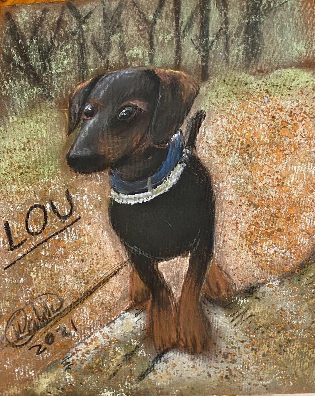 retrato de perro salchicha