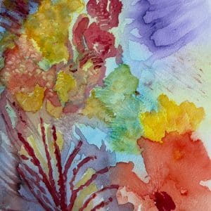 EXPLOSION COLORES 29X38