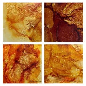 Serie Cartografia del Ambar