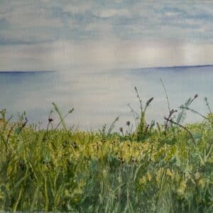 Grassy Summer Shore
