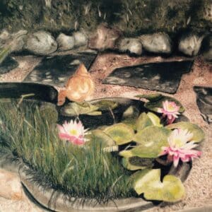 40_Backyard Pond I
